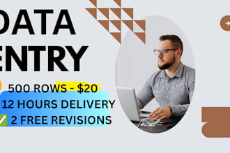 do fast delivery data entry with 2 free revisions