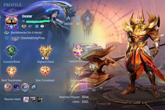 provide a great mobile legends gameplay experience in any role