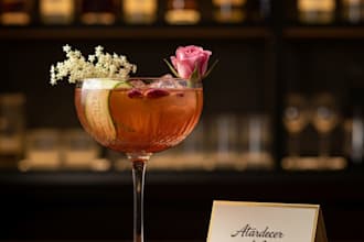 create professional cocktail recipes and bar menus