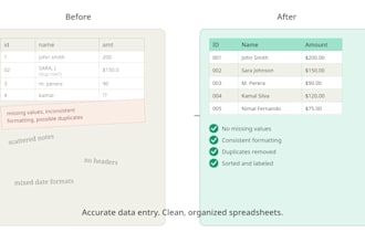 accurate data entry and excel work
