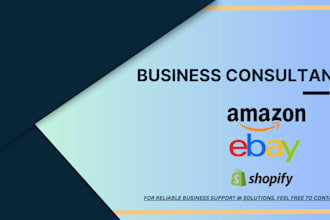 business strategy consultant developer manager