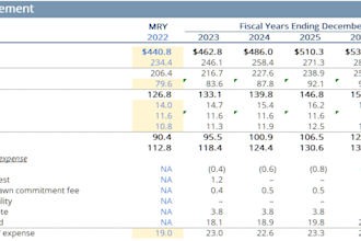 do professional financial modeling for you