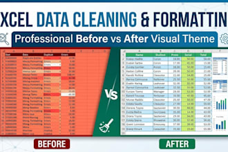 be your expert for microsoft excel data cleaning and formatting