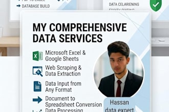 do fast and accurate e commerce data entry in excel
