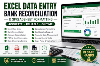 excel data entry and bank reconciliation