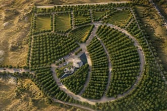 create 3d landscape masterplan orchard farm sustainable land development render