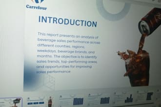 write a professional data analysis report