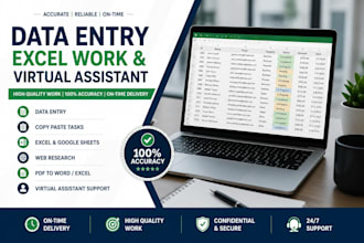 do data entry, excel work and virtual assistant tasks