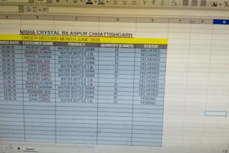 do professional data entry copy paste and business order tracking in excel