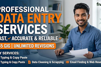 do professional data entry and google sheets work