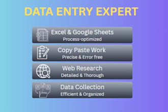 do professional data entry, web research and copy paste work