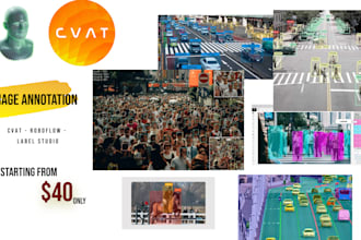 do professional image annotation and data labeling for ai