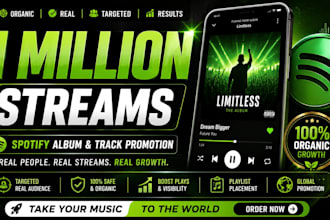 do spotify music promotion, music promotion