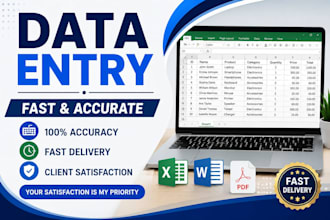 do accurate data entry, excel work and copy paste tasks