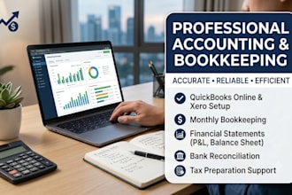 provide accounting services etc