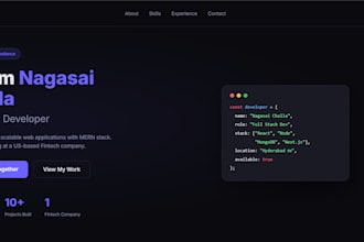 build a responsive react or mern stack web app for you