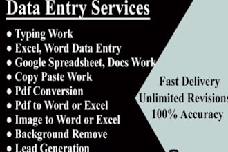 do data entry excel and typing