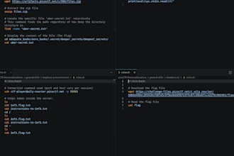fix bugs or write simple python and bash automation scripts