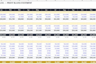 create a professional p and l statement, budget tracker or report