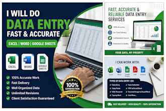 deliver fast, accurate excel and word data entry services