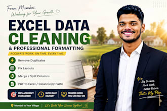 do professional excel data cleaning, formatting, and data deduplication