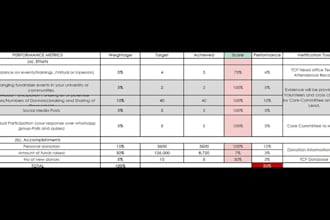 do professional excel data formatting, and entry