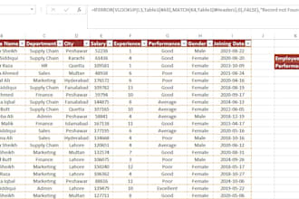 do excel data cleaning and formatting professionally