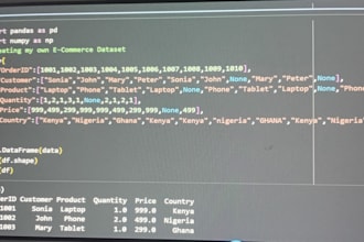 clean and analyze your data using python and excel