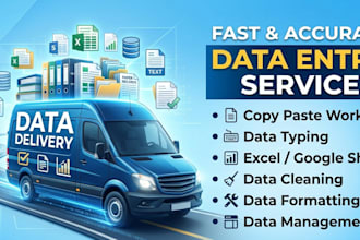 do data entry and excel data entry services