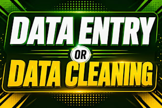 do data cleaning, data entry, splitting, merging, formatting, sorting and filter