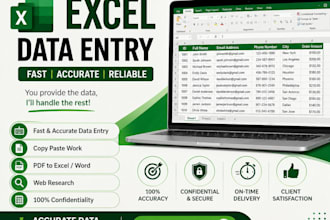 do data entry and excel spreadsheet work accurately