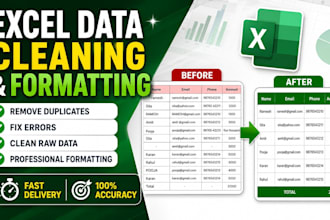 clean and fix your excel data professionally