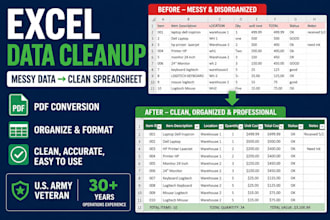 clean and format your excel or business data