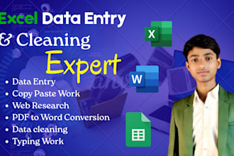 do expert data entry, data cleaning