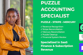 reconcile puzzle, stripe and mercury financial records