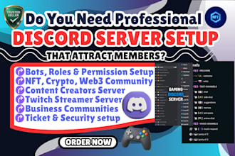 setup a professional discord server with bots, roles, automation, and moderation
