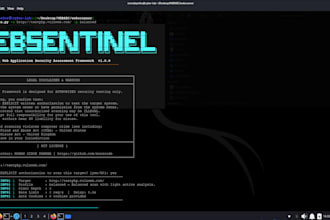 do professional website security audit and vulnerability assessment