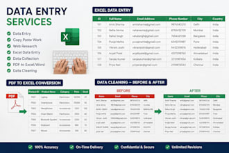 do fast and accurate data entry, excel work and web research