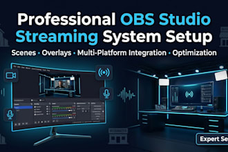 deliver professional obs streaming systems, full setup, scenes and integration