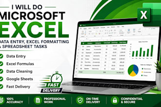 do microsoft excel data entry, formatting and spreadsheet tasks