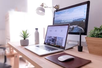 provide virtual assistant services for data entry, email management, and admin t