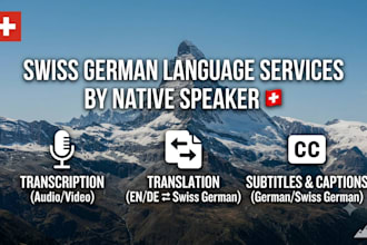 be your swiss translator or subtitle expert