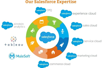 develop custom salesforce solutions using apex, lwc, and flow automation