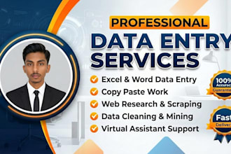 do fast, accurate data entry and excel or google sheet work