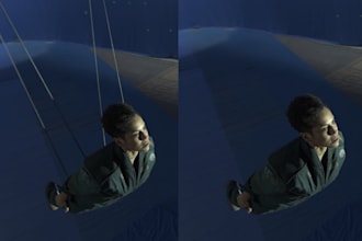 do professional vfx paint rig removal and object removal
