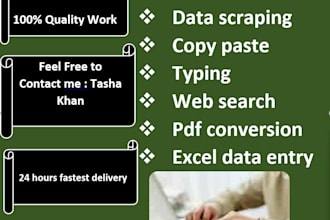 do expert data entry, ms word and excel