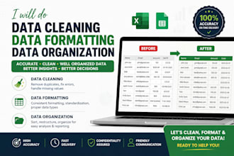 do data cleaning, data formatting and data organization