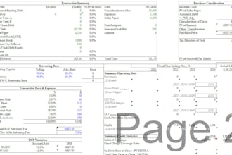 do financial modeling and consulting