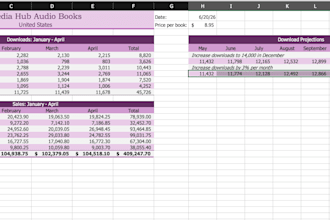 make professional microsoft excel and spreadsheets