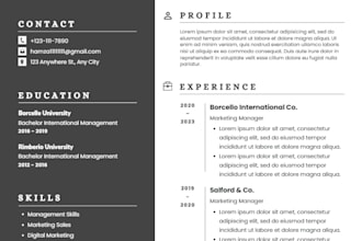 do a professional cv for you